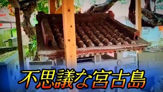 【座敷童子ンち】沖縄·宮古島を大冒険！不思議な発見の数々【まるで世にも奇妙な物語】ユーチューバー、幽霊、パワースポット、オカルト、ホラー、怪談、物語、スピリチュアル、座敷わらし、パワースポット