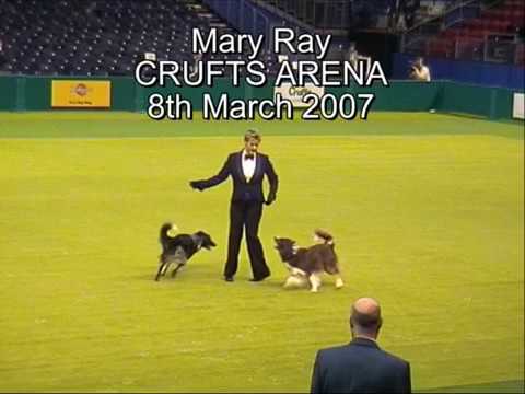 2007 Crufts May Ray
