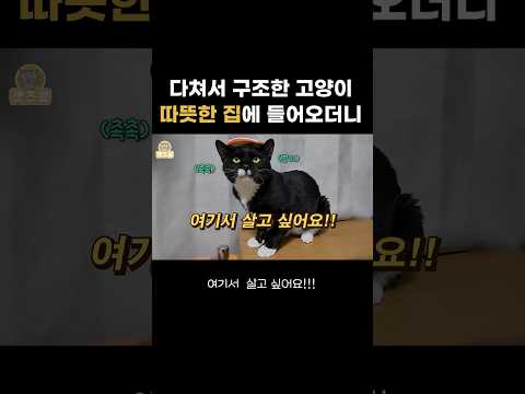 집에 들어오더니.. 쭉 눌러앉겠대요