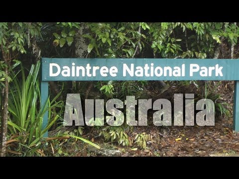 Australia, Daintree Rainforest ( HD )