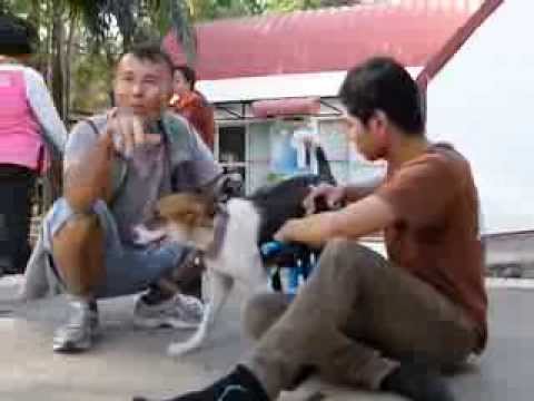 คลิกเพื่อดูคลิปวิดีโอ