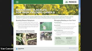 Blackleg