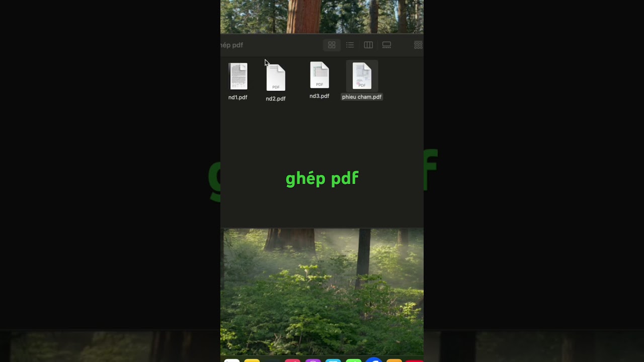 ghép file pdf