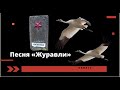 Песня "Журавли"..Великая Отечественная война... 