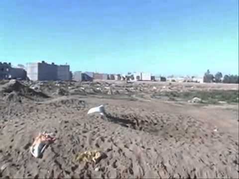 sadek mohamed & brahim 2011