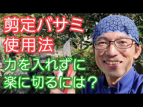 6月に庭で何を剪定しますか？やり方は？完全なガイドをご覧ください。  庭園