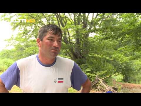 BL HRONIKA 25 08 15   VODA LOKVARI