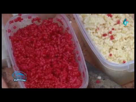 Čari Ribolova 28.01.2018g prvi deo