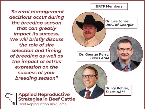Drs. Jones, Perry and Pohler - Improving reproductive performance