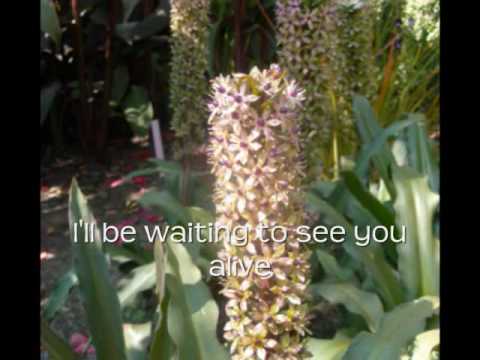 Road To Your Heart - Sonny O'Brien