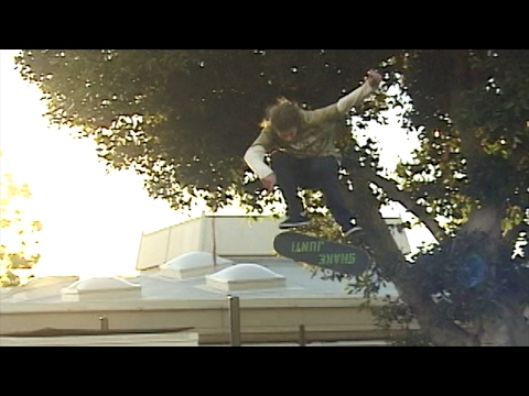 preview image for Taylor Kirby YTRAP Tree Part | TransWorld SKATEboarding