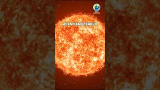 Download lagu How Hot Is the Sun? mp3 Download lagu How Hot Is the Sun? mp3