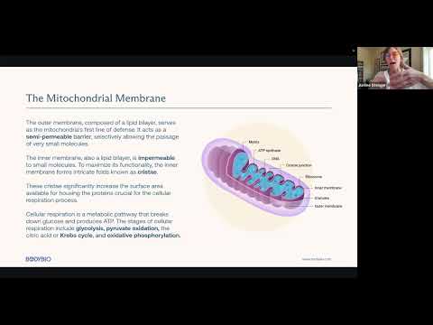 Restoring Mitochondrial Function through Phospholipids and Redox Enhancement