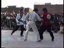 Very rare fight kung fu vs taekwondo (Master Ehsan ...