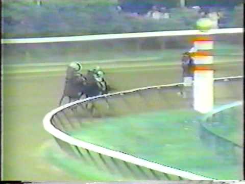 Slew o' Gold - 1984 Whitney Handicap