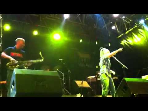 Er traffico de Roma - Radici nel Cemento