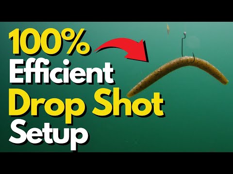 Discover the POWER of the Wacky Drop Shot