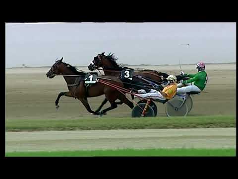 Napoli Trotto 02/05/2021 - 1ª corsa