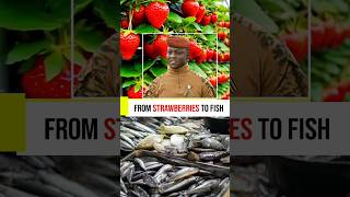 From Strawberries To Fish | Traore did it again.