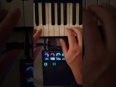 Using Tempera as sequencer / arpeggiator