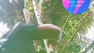 Download lagu Kalo hidup udah susah jangan di tambah susah lagi boss mp3