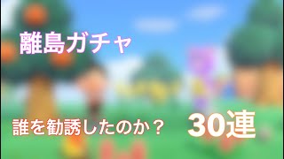 久しぶりに離島ガチャをしたら可愛い子が島に？！「あつ森」「離島ガチャ」