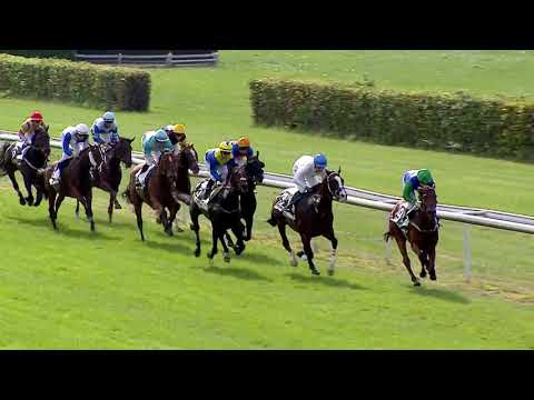 Dielsdorf/22.09.2019/Jockey Club - Gentlemen's Cup