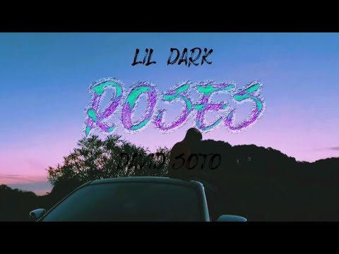 DAVID SOTO x lil dark - roses 🥀