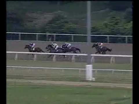 Lion Heart   2003 Hollywood Futurity