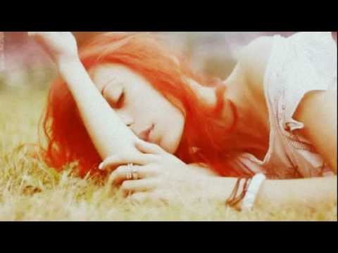 Vladislav Petković Dis - Možda spava