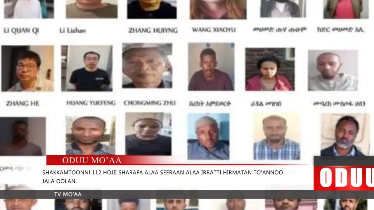 Shakkamtoonni 112 hojii sharafa alaa seeraan alaa irratti hirmatan to'annoo jala oolan.