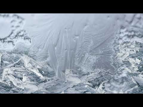 Progressive Rock Mix by ofenblase Volume 12