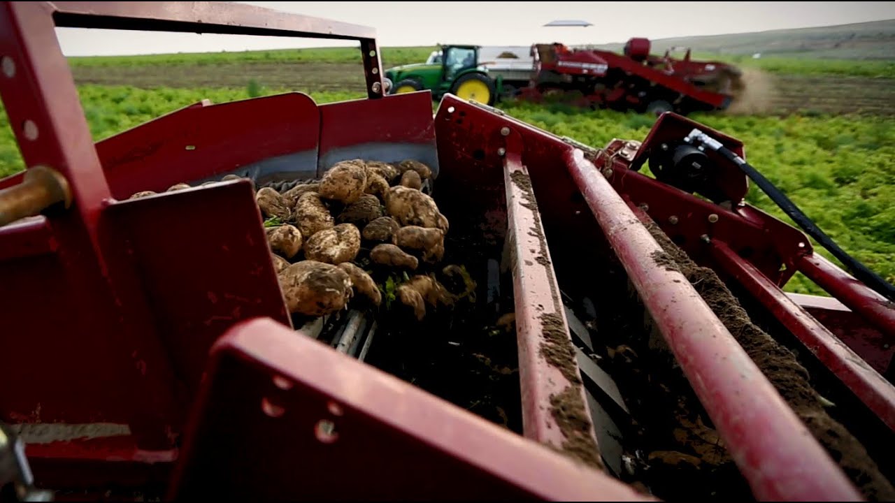 Simplot Food Group Overview