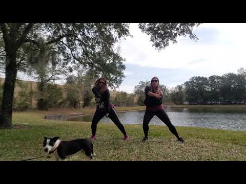 Juice - Lizzo (ft sweet pup Stella)