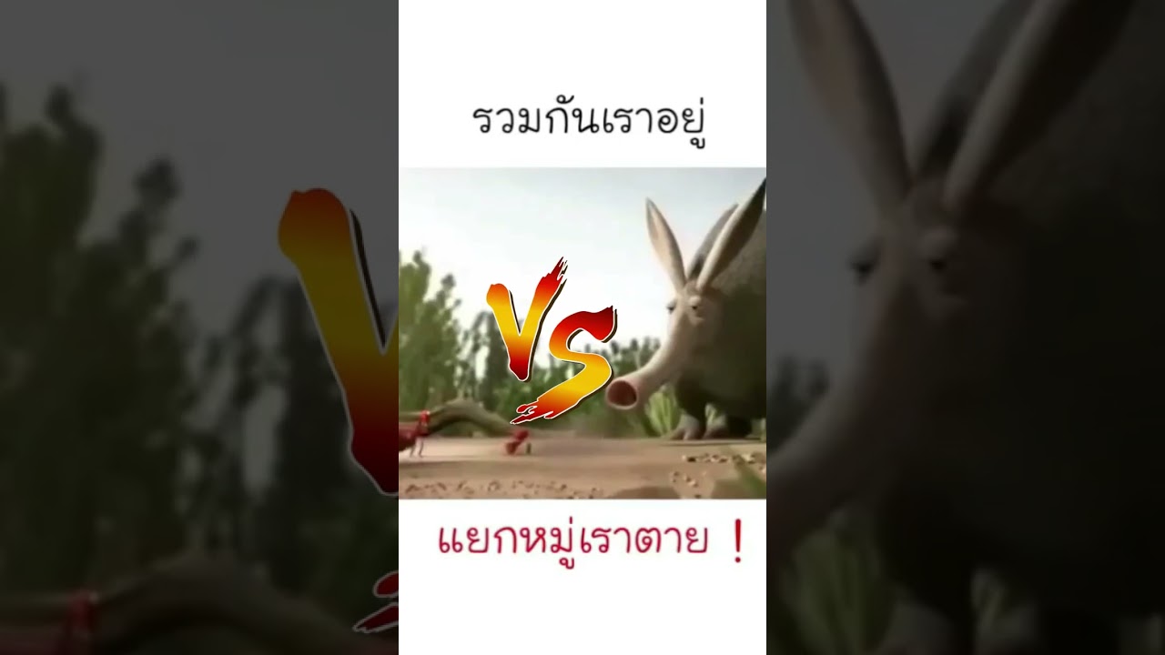 รูปภาพ ดาวโหลด Google Youtube SEO