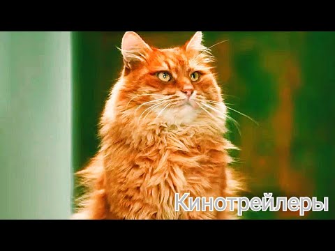 Трейлер