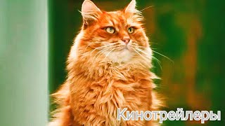 Котострофа(Сериал 2024) - Русский Тизер