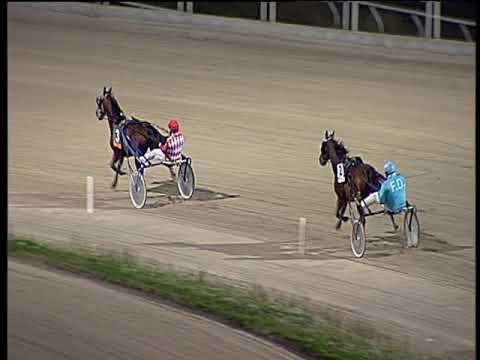 Trotto 29/11/2019 - 2ª prova di qualifica