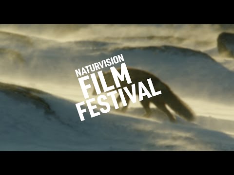 Schweden – Ruf der Wildnis TRAILER – NaturVision Filmfestival 2025