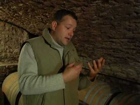 download lagu mp3 mp4 Rene Jolly Champagne, download lagu Rene Jolly Champagne gratis, unduh video klip Rene Jolly Champagne