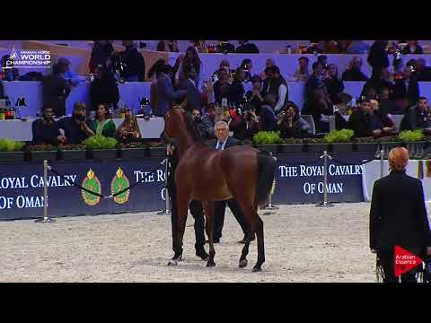 N.5 PRISCILLA OS - Paris 2017 - Yearling Fillies (Class CM1A)