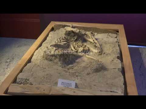 Eksponatet, nga neoliti te pavarësia - 23.02.2018 - Klan Kosova