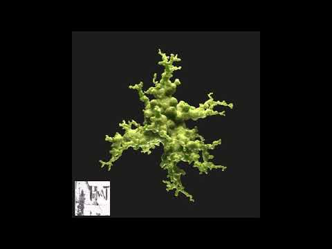 Echonomist feat. Mironas - Our Last Night (radio edit)-2021