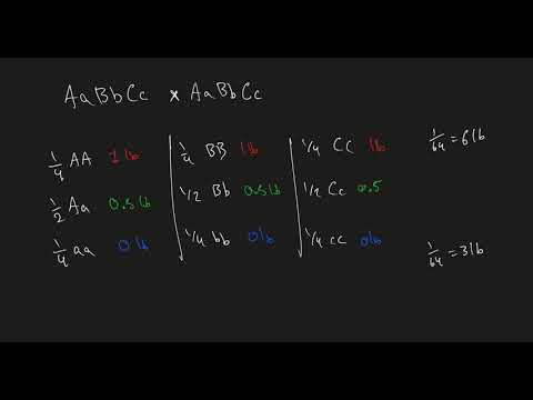 Quantitative Genetics - True Breeding Cross w/ Additive Genes! What are the F1 & F2 probabilities?