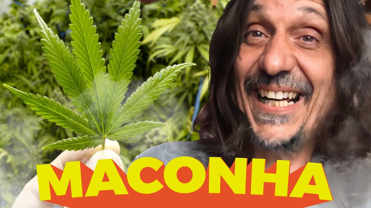 MACONHA E A VANGUARDA BRASILEIRA - EDUARDO BUENO