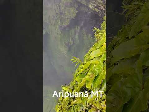 #Aripuana#matogrosso #todos #fyp