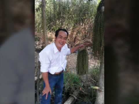 Happy birthday titi ox(27t)