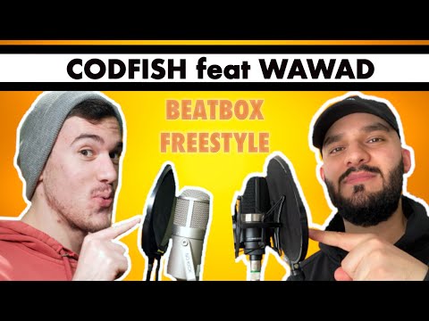 I BEATBOX ON CODFISH'S VIDEO!!! Tag team Video #2 ! (Beatbox Freestyle)