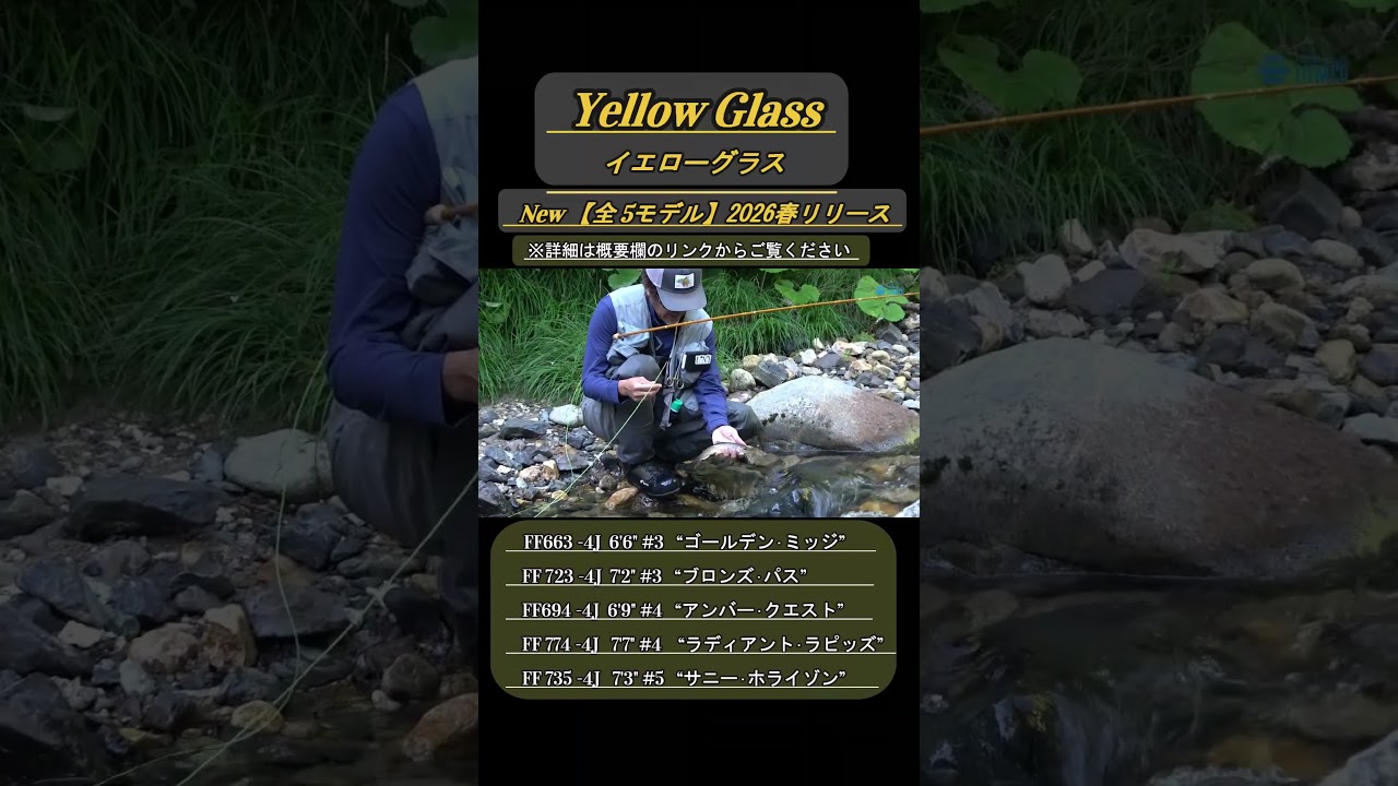イエローグラス フライロッド【Fenwick Yellow Glass Fly Rod】でイワナ釣り #yellowglass #イエローグラス#shorts  1