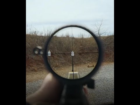 Vortex Optics LPVO PST and Razor Clarity & FOV Review